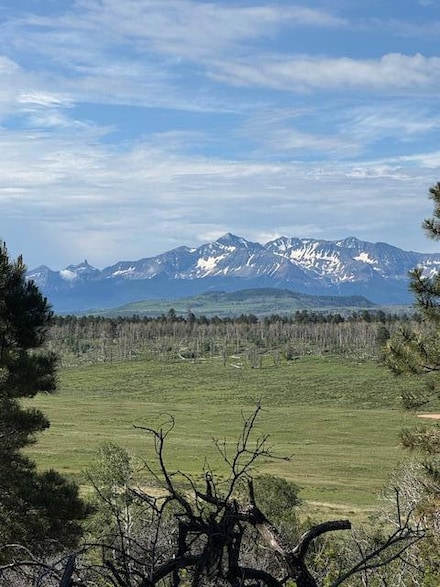 0 Tbd Unit Tract1 42699, Placerville, CO 81430