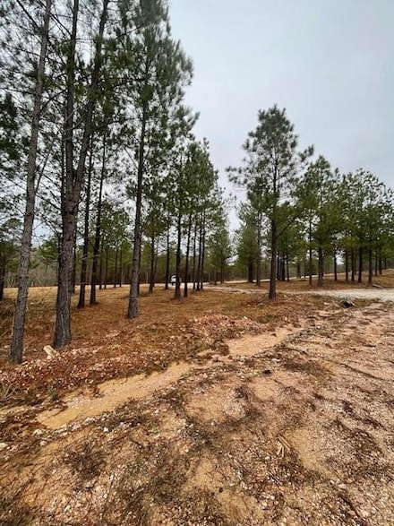 0 Top Notch Ln, Hochatown, OK 74728