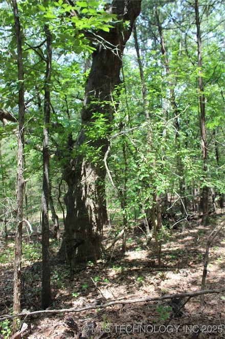 5 E 1909 Rd, Antlers, OK 74523