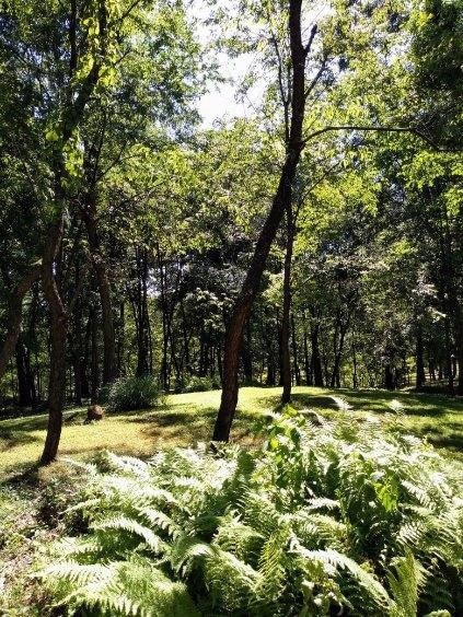 Lot 33-34 Ben Miller Rd, Gibsonia, PA 15044