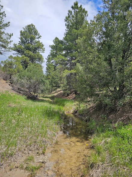 0 Picketwire Rd Unit 36 25-623, Trinidad, CO 81082
