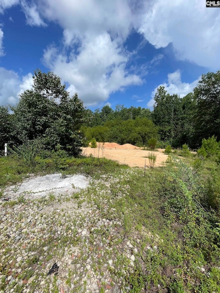 55 Edinburgh Ln, Camden, SC 29020