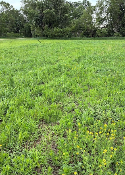 0 N Madison St, Tilden, NE 68781