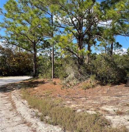 300 Cartier Ave, Lake Placid, FL 33852