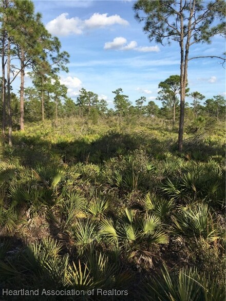 10804 Bending Oak Dr, Sebring, FL 33875
