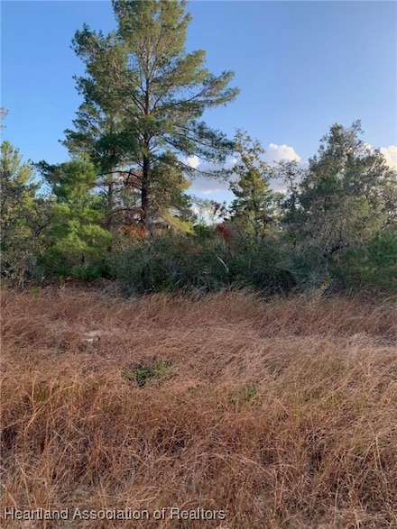 2851 W Seville Dr, Avon Park, FL 33825