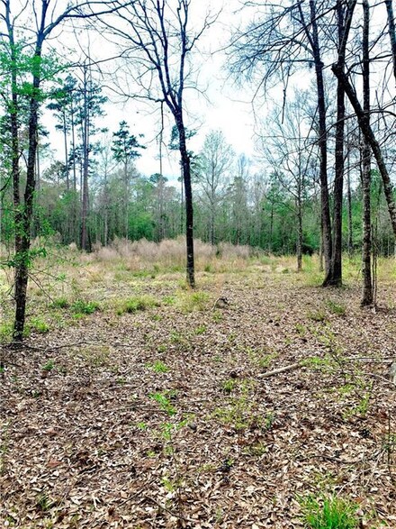 79355 Watts Thomas Rd, Bush, LA 70431