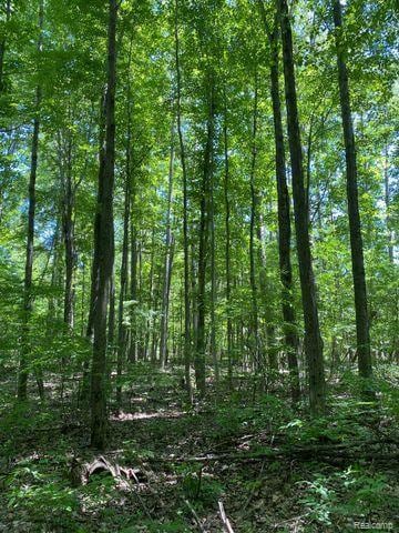 V/L Underwood Rd, Wells Township, MI 48723