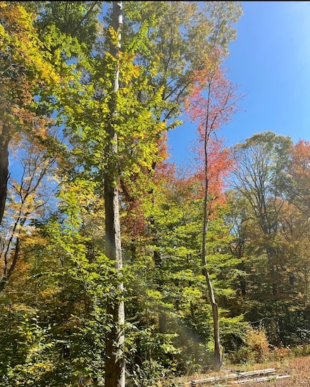 0 Brook Rd Unit lot 4, Hampton, CT 06247