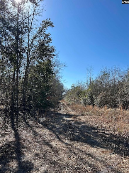 TBD Old State Rd, St. Matthews, SC 29135