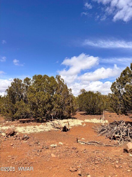 0 Hawk Rd, Show Low, AZ 85901