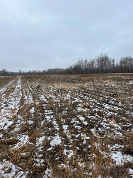 000 65th St Block 1 Lot 2, Princeton Township, MN 55371