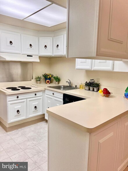 3425 S Leisure World Blvd Unit 891D, Silver Spring, MD 20906