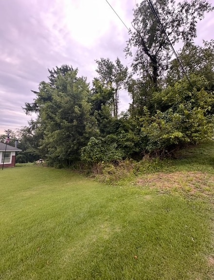 0 Peairs Rd Unit 1715067, Elizabeth Township, PA 15037