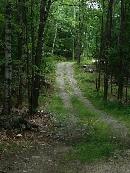 00 Old Wolfeboro Rd Unit 40, Alton, NH 03809