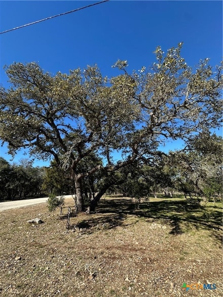 821 Wild Turkey Run, Canyon Lake, TX 78132