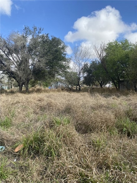 0 W Candela St, Falfurrias, TX 78355
