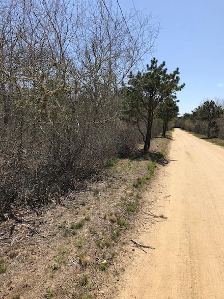 33 Old Coach Rd, Vineyard Haven, MA 02568