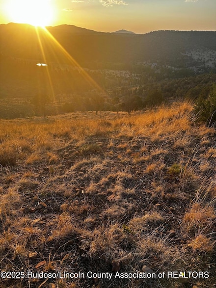 LOT 121 Sandesta Dr, Alto, NM 88312