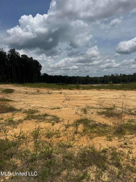 0 Wire Rd, Pelahatchie, MS 39145