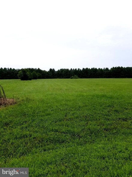 30252 Chestnut Ridge Ln, Trappe, MD 21673