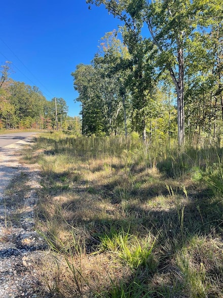 0 Lake Point Dr, Huntingdon, TN 38344
