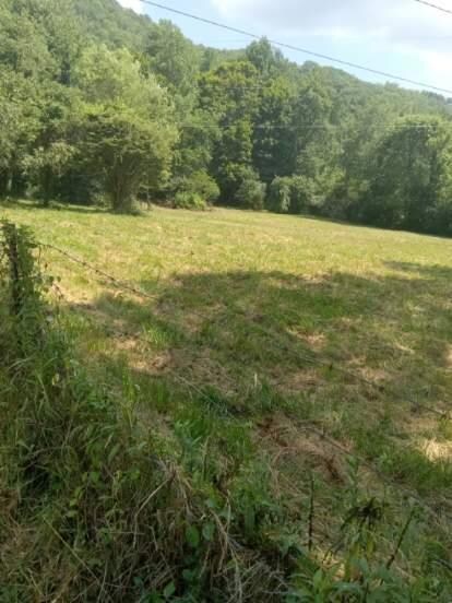 317 Robinson Rd, Andrews, NC 28901