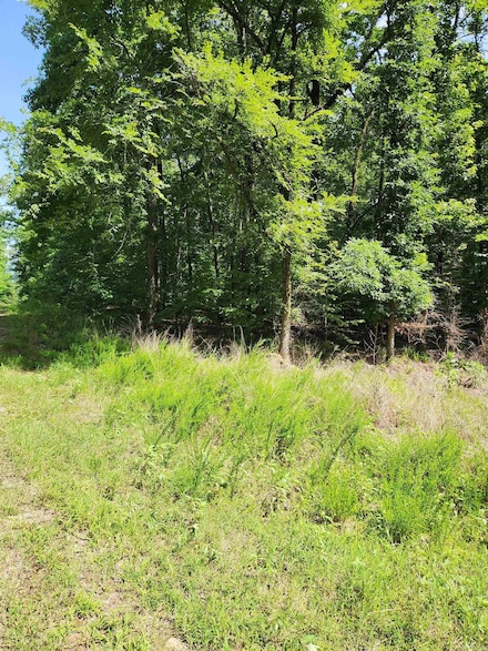 28 Edgemont Dr, Hot Springs, AR 71913