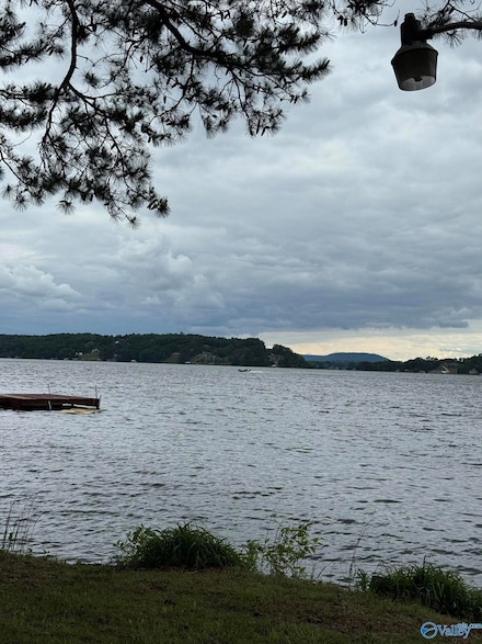 2585 County Road 67, Scottsboro, AL 35769