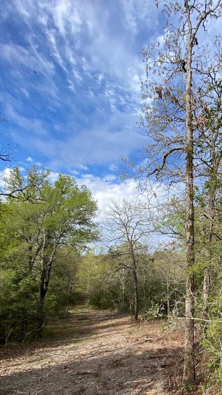 0 Tbd 16 Fm 1848, Buffalo, TX 75831