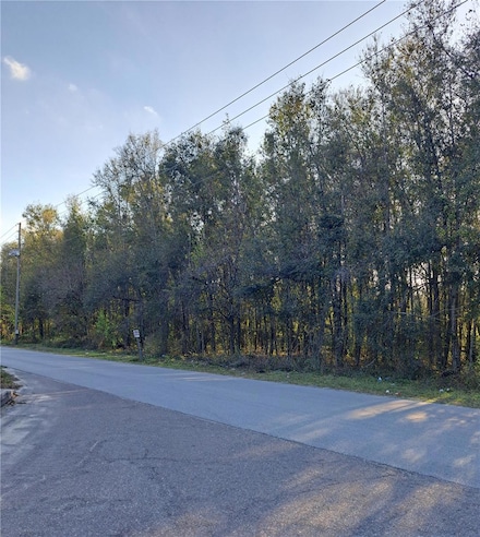 0 20th St Unit MFRTB8358152, Zephyrhills, FL 33542