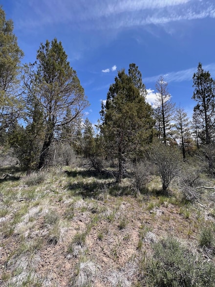 0 Glendale Dr Unit 15, Beatty, OR 97621