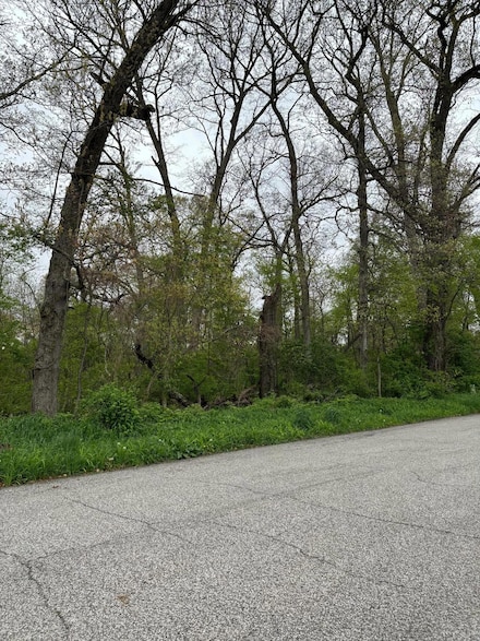 0 Pinoak Dr, Washington Township, IN 46350