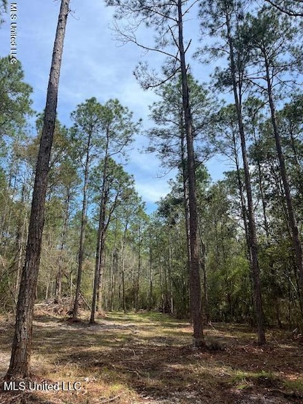 0 Ramie Farm Rd, Lucedale, MS 39452