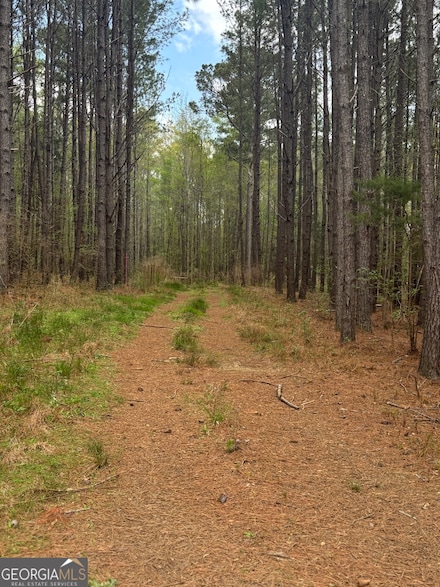 556 Benton Rd, Covington, GA 30014