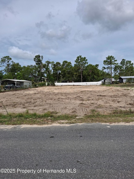 8181 Nittany Rd, Weeki Wachee, FL 34613