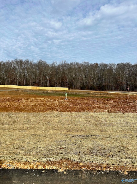 Lot 1 Saban Ln, Athens, AL 35613
