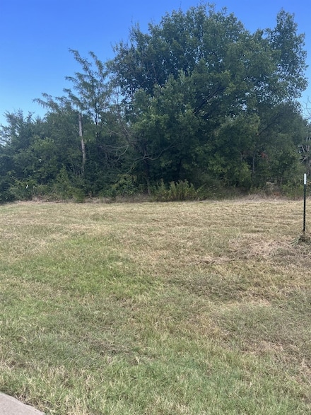 389 Roaring Fork Cir, Gordonville, TX 76245