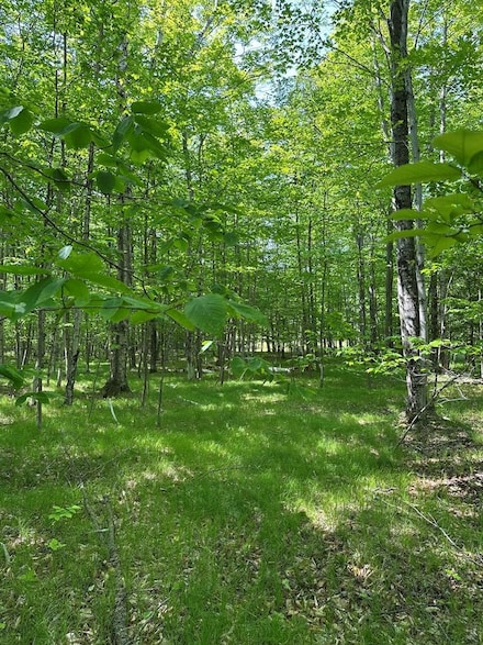 TBD Gibraltar Rd, Fish Creek, WI 54212