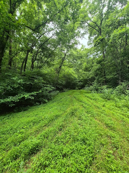 0 Williams Rd Unit RTC2906918, Cornersville, TN 37047