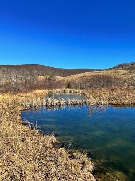0 Big Mountain Rd Unit 86358, Rupert, WV 25984