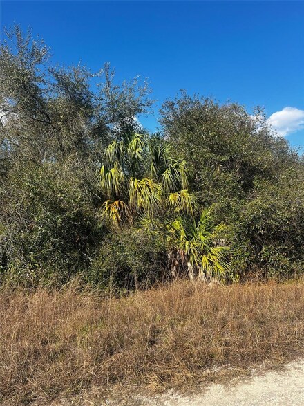 4195 E 29th St, Alva, FL 33920