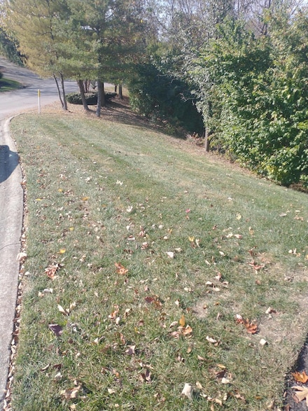 102 Augusta Dr, Winchester, KY 40391