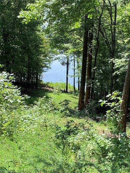 3923 Quail Run Ln, Burlington, NC 27215