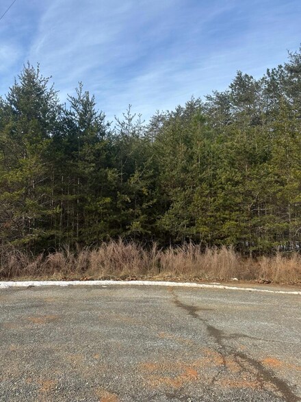 lot 50 Dillon Cabin Rd, North Shore, VA 24121
