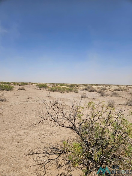 XXX Vibora Rd SE, Deming, NM 88030