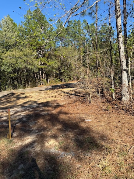 00 Carter Cir, Hattiesburg, MS 39402