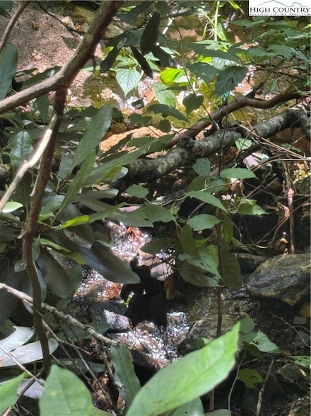 TBD Little Squirrel Creek Rd, Newland, NC 28657