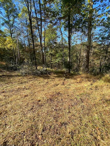 TBD 3rd Run, Coxs Mills, WV 26342