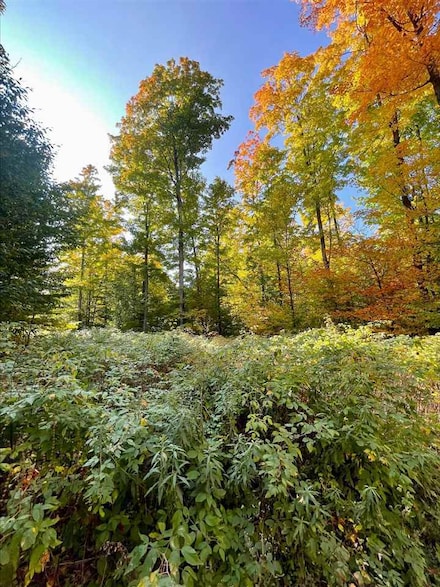 Lot 7 High Pines Trail, Boyne City, MI 49712